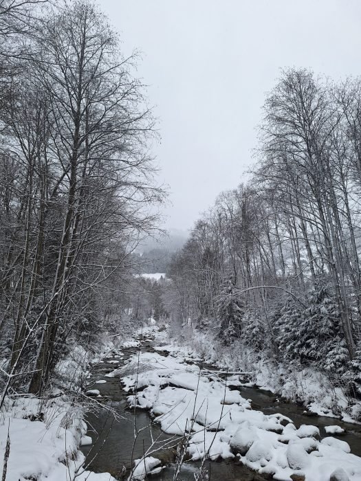 les contamines france river and forest covered in snow
